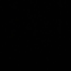 Meet your Posher, Abigail